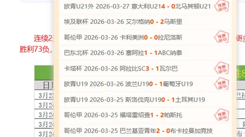 巴西甲瓦斯科达伽马连赢期数预测及专家质合分析